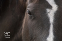 CO_6141_crop_PX