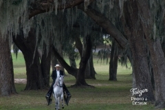 FL_6734_Feb08