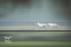 FL_7531b_Feb08