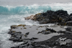 DSC_6230a
