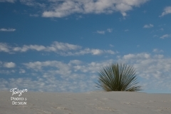 NM_2018_0679