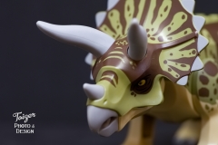 Triceratops